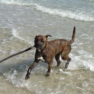 First time at the beach