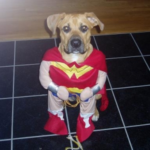 Lexi's Halloween costume!