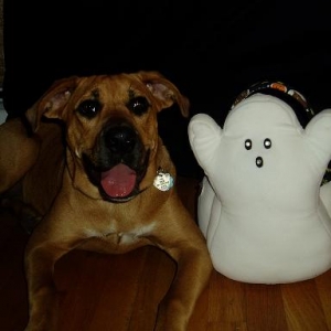 Lexi & Ghosts
