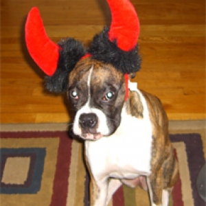 LucyHalloween