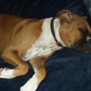 Sadie In the Love Sac
