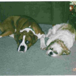 Boggs and Rascal