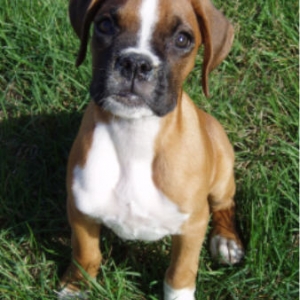 Lucy