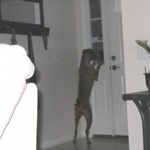 Lucy