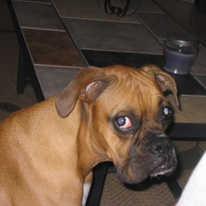 Lucy