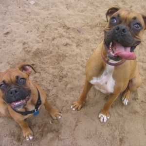 Bentley and Lucy