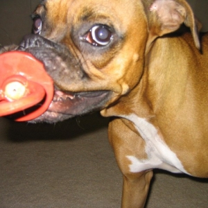 Lucy