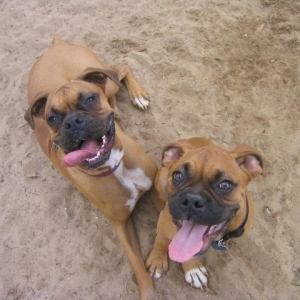 Lucy and Bentley