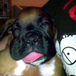 Dreamin' bout ice cream I guess