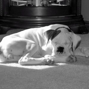 Ellie in B/W