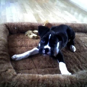 loungin