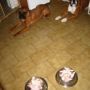 barfers!