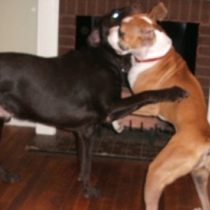 They love each other!!