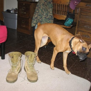 Whhheeeewww, Dad, your boots!