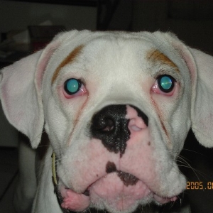 Close up!