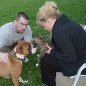 New Brindle puppy meets her new brother