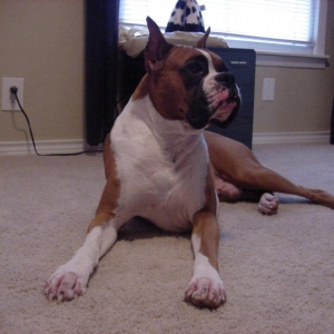 What did you say?