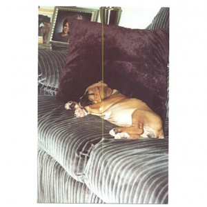 sleeping
