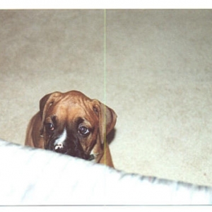 Help me up