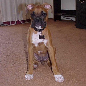 How adorable am I?