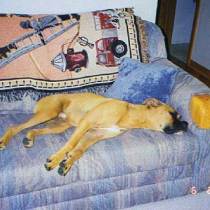 Jackson after an even harder day