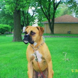 Is that a squirrel over there?