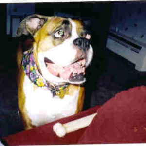 ginger's 5th birthday