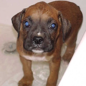 Bath time