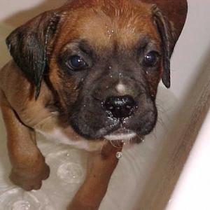 Bath time again