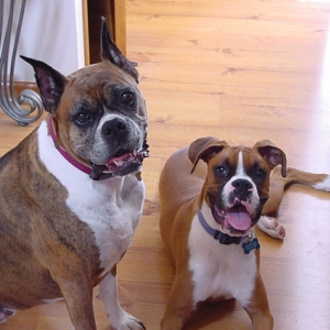 Sadie and Rudy