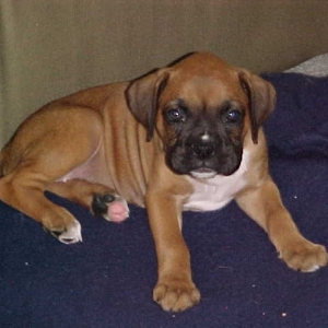 Our baby girl
