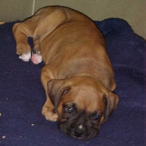 Baby Ali at 6 weeks
