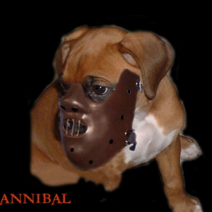 Hannibal with some help from PhotoShop