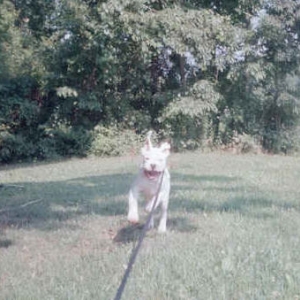 Here I come!