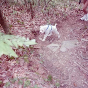 Come on mom, let's go!