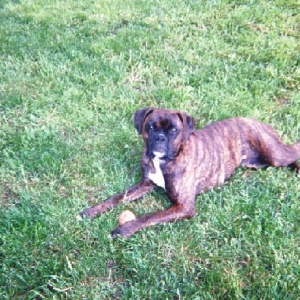 Gidget 15 months