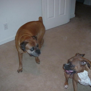 Lexi Says come and get me if you can