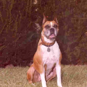My Best Friend - Mitzi