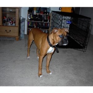 Six Months Old and Huge