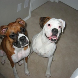 Toby and Xena