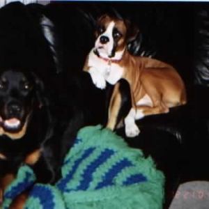 He has to get in the picture !!!