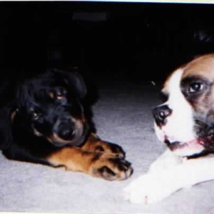 He used to be cute !!!