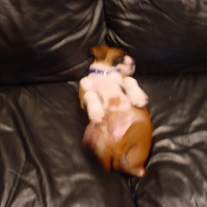 Favorite Position