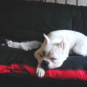 RoxyandBuster
