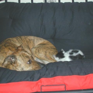 Zoe and Roxy