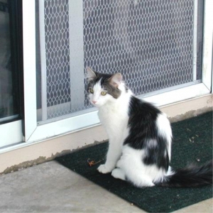 Roxy