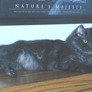 Salem