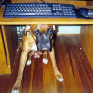 Keeping me away from the computer.