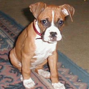 Our New Baby