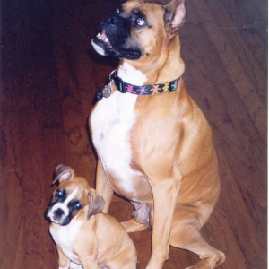 ROSSY and DAISY